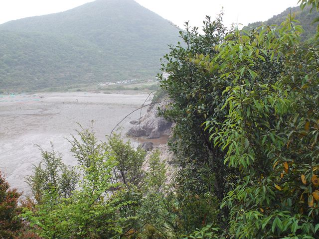FILE1281.jpg