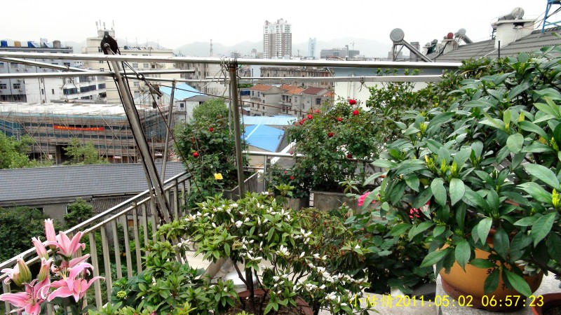 后花园 (10).jpg