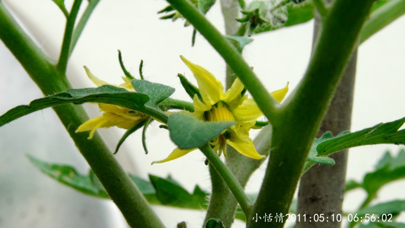 后花园 (41).jpg