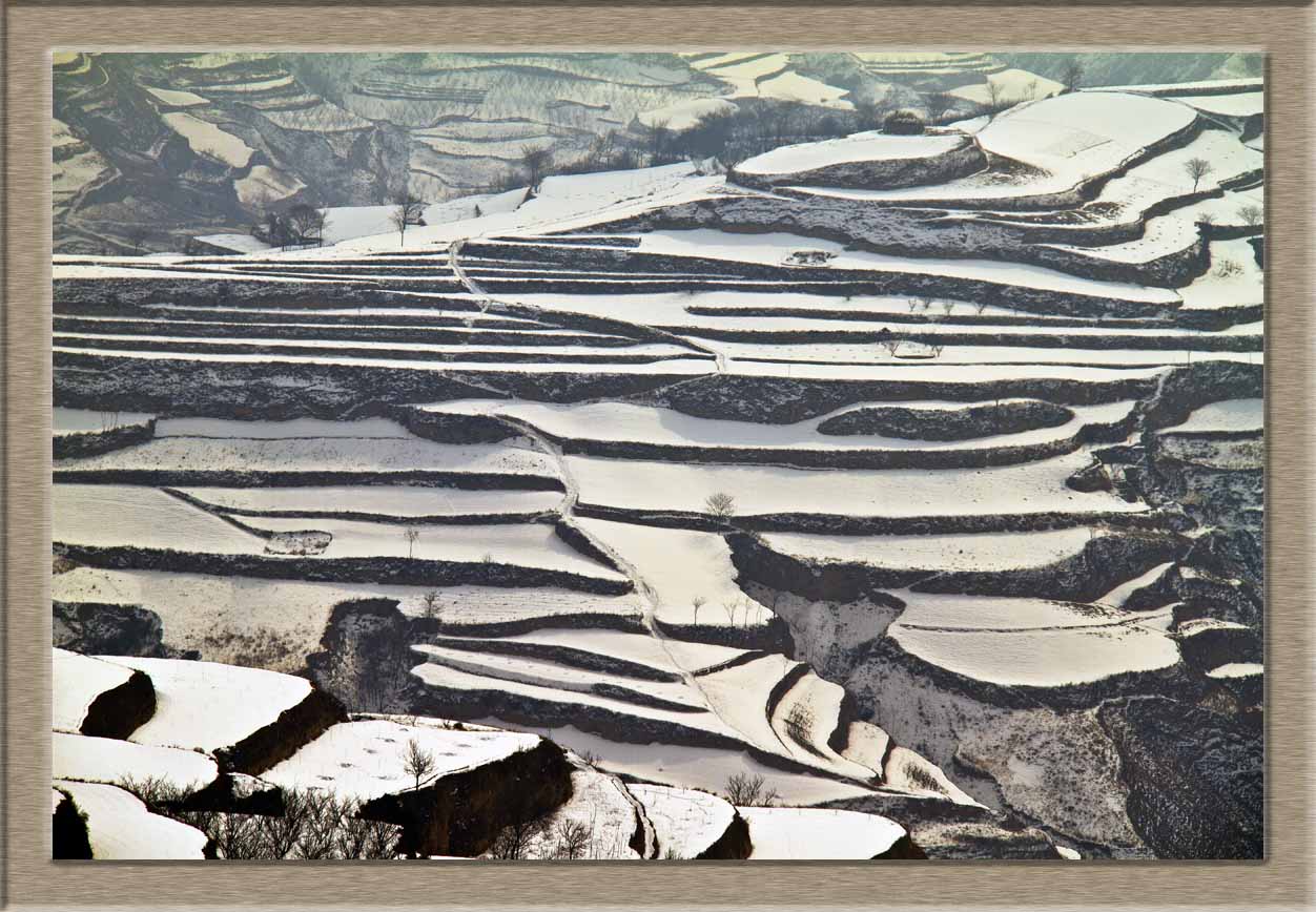 陇原 2011年的第一场雪.jpg
