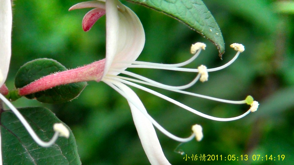 conew_dsc00035.jpg
