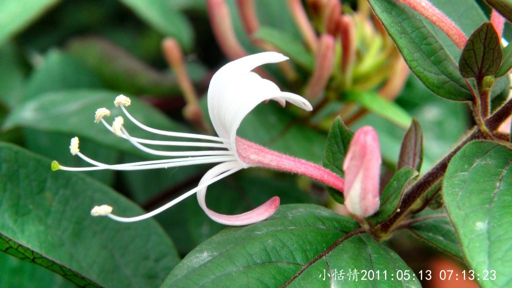 conew_dsc00034.jpg