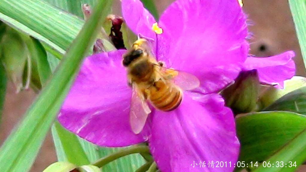 conew_dsc00052r.jpg