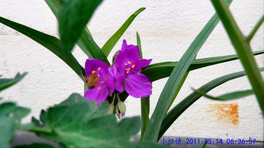 conew_dsc00058.jpg