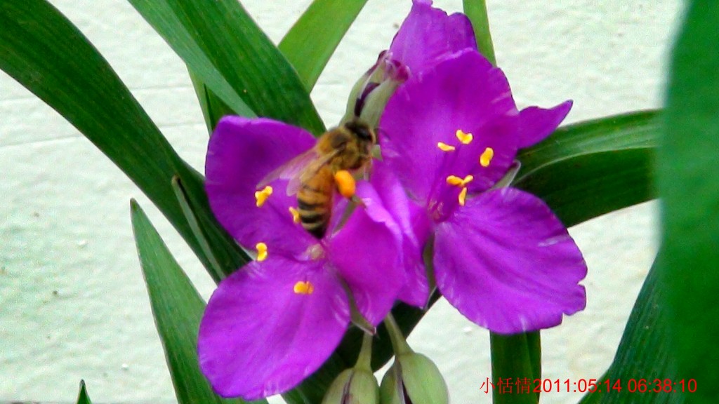 conew_dsc00060.jpg