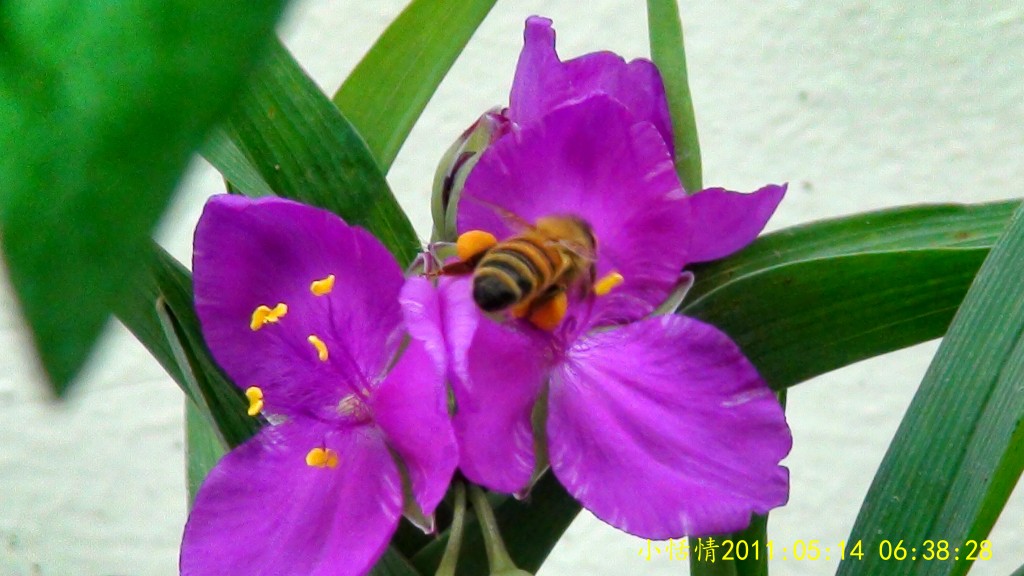 conew_dsc00062r.jpg