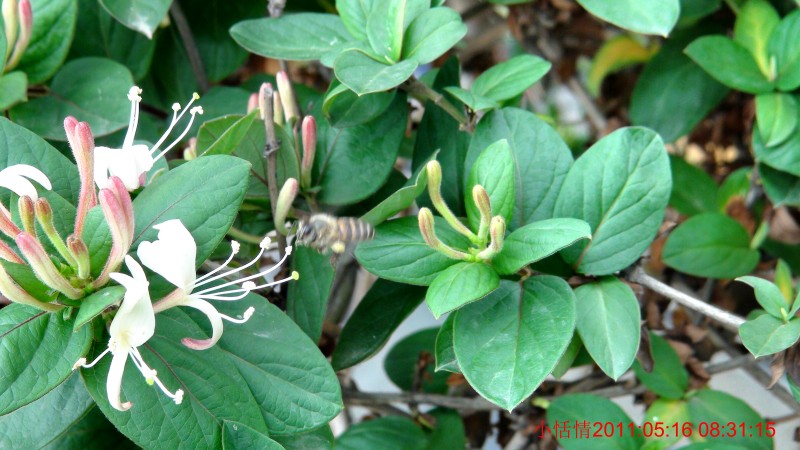 conew_dsc00080.jpg