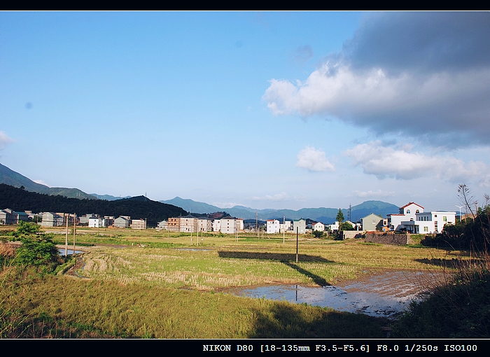 DSC_0029.jpg