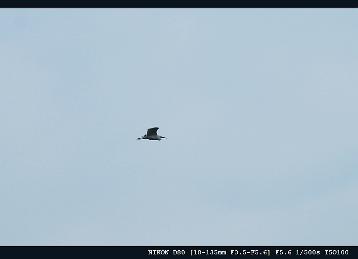 DSC_0041.jpg