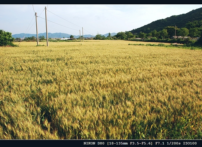 DSC_0052.jpg