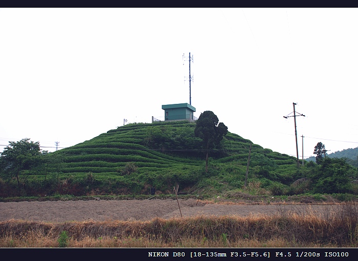 DSC_0132.jpg