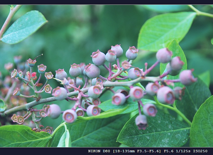 DSC_0175.jpg