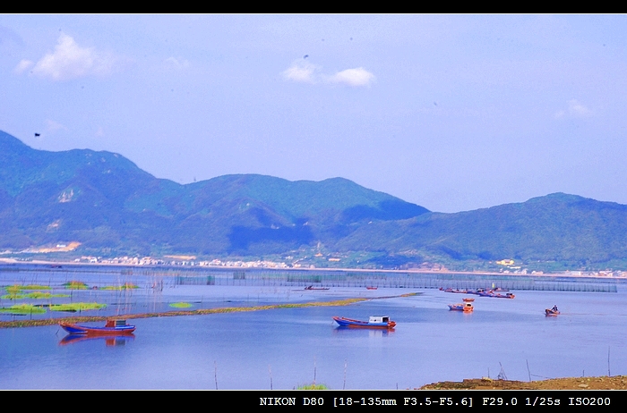 DSC_0086.jpg