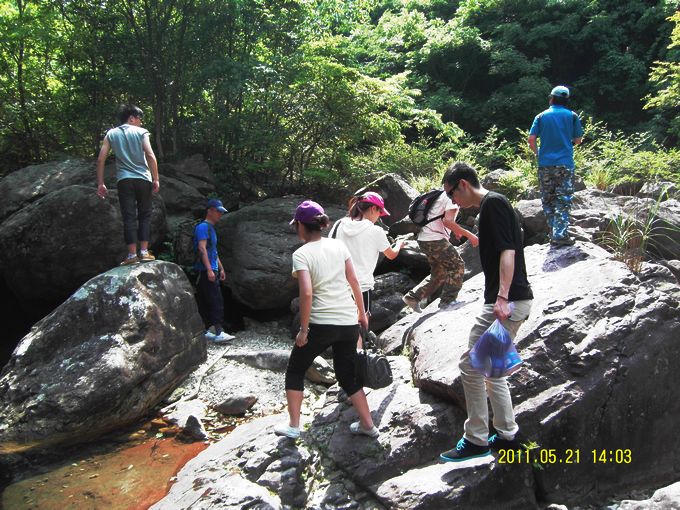 SDC12508.JPG