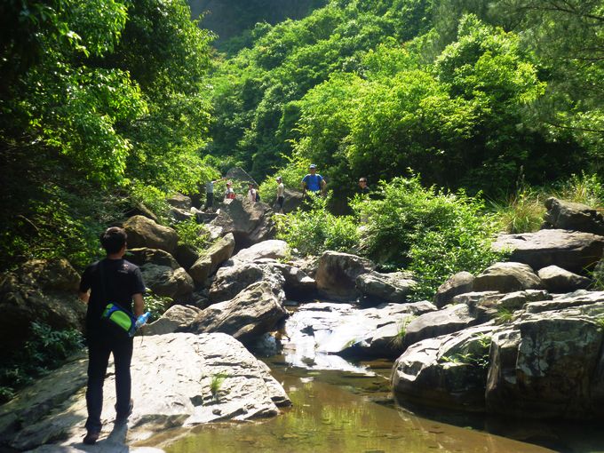 P1060874.JPG