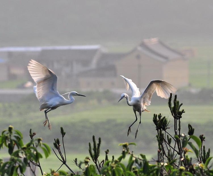 DSC_0372.jpg