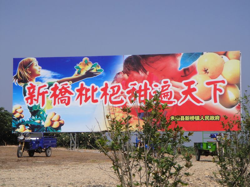nEO_IMG_DSC03387.jpg