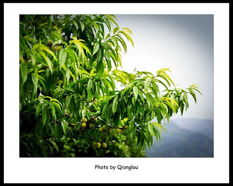 _MG_2583.jpg