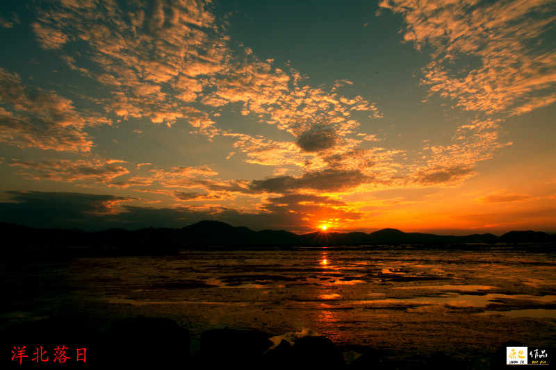_MG_6723.jpg