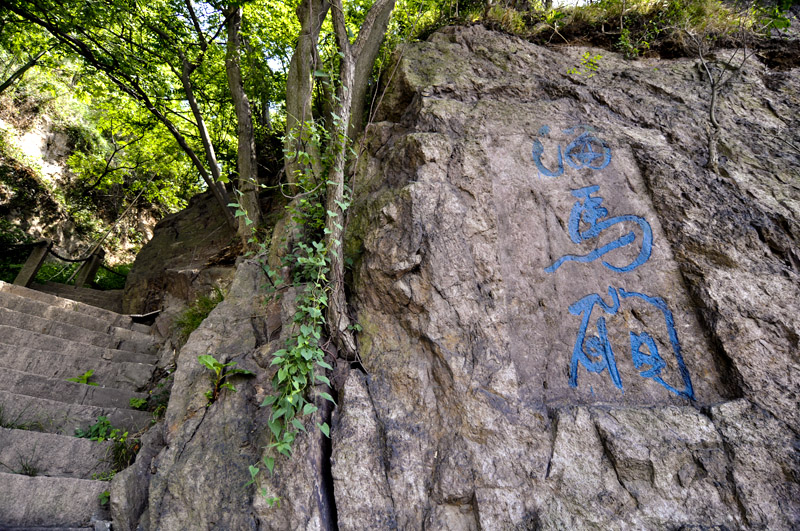 DSC_0072.jpg