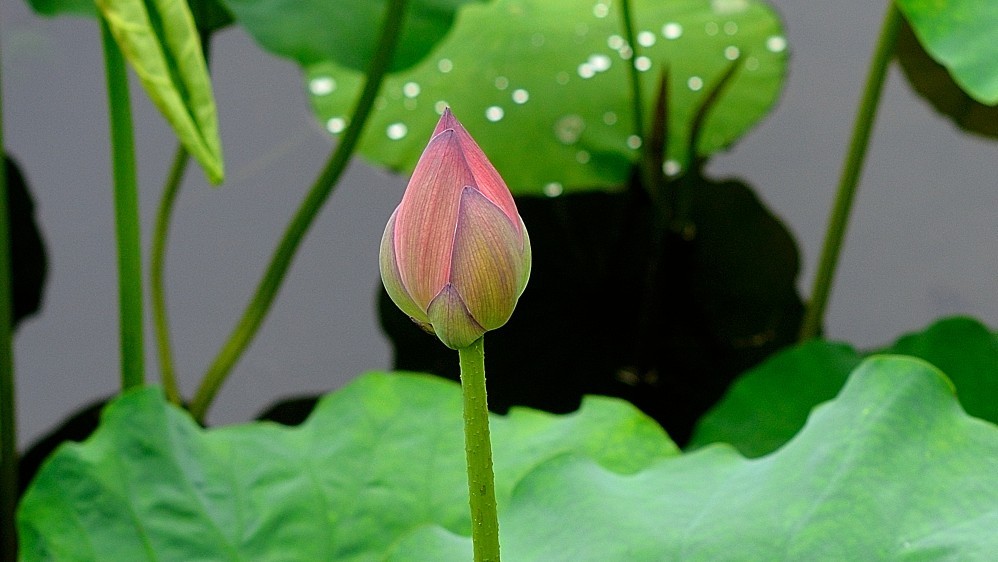 W1.jpg
