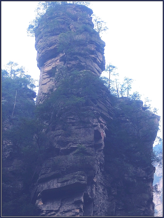 鲁迅头像