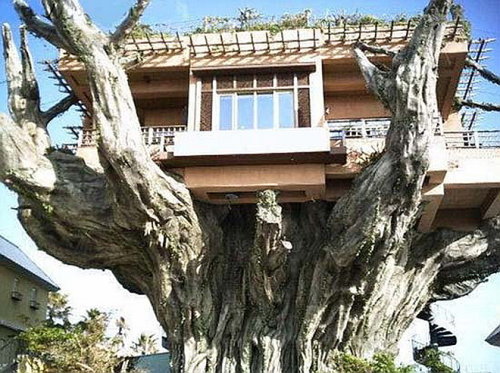 【6】128.8万美元　三层　木屋顶.jpg