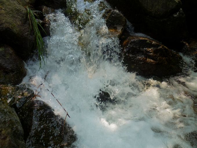 P1070356.JPG