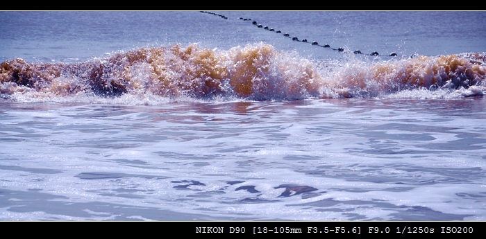 DSC_0655.jpg