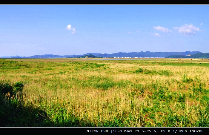 DSC_0509.jpg