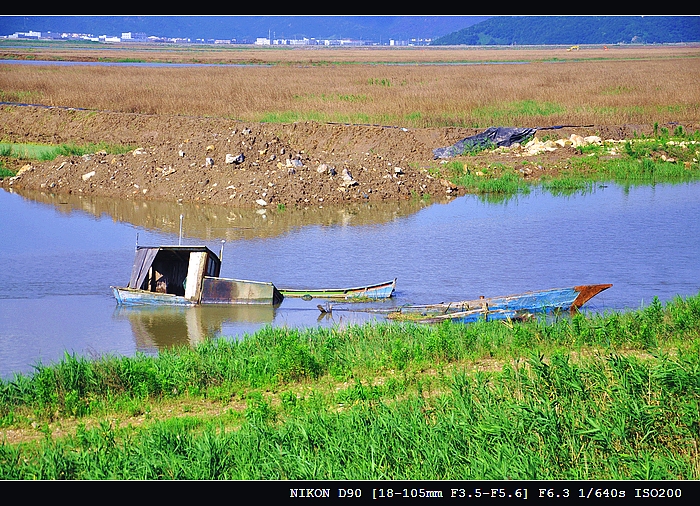 DSC_0513.jpg