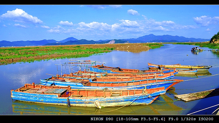 DSC_0517.jpg