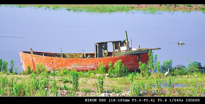 DSC_0514.jpg