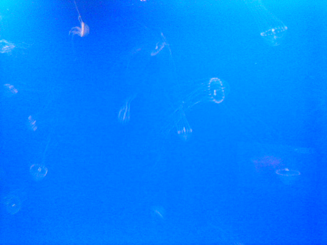 DSC01181.JPG