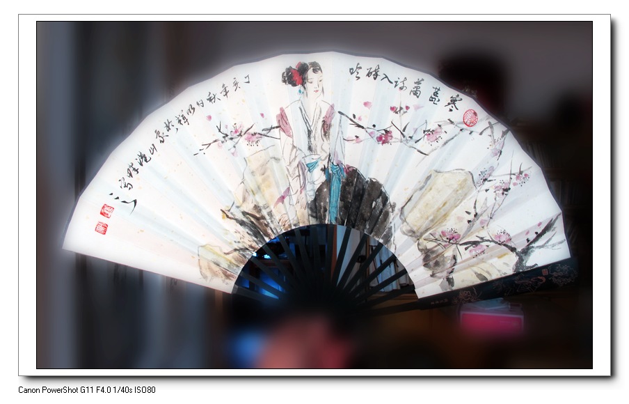 复件 (2) IMG_0163.JPG