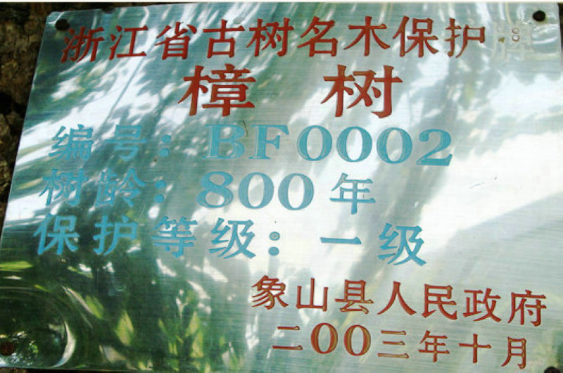 DSC04479.jpg