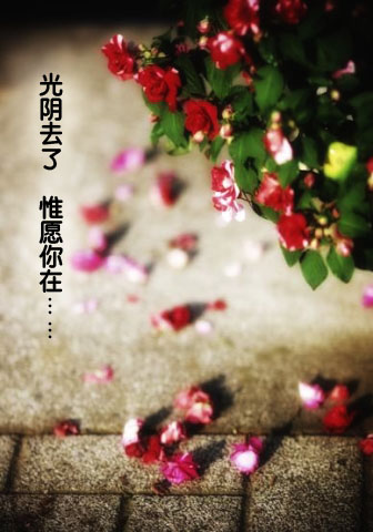 2011050422221590072.jpg