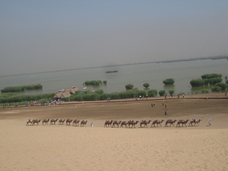 conew_img_1251.jpg