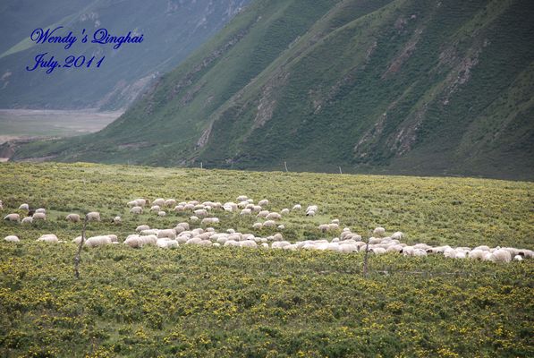 DSC_0702.JPG
