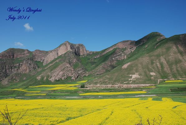 DSC_0524.jpg