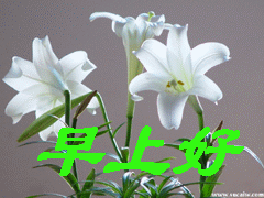 未命名n.gif