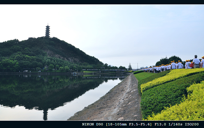 DSC_0116.jpg