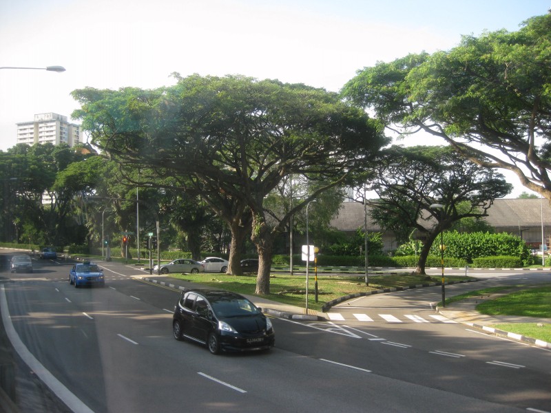 conew_img_1442.jpg