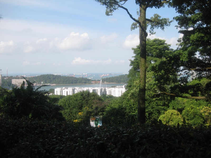 conew_img_1449.jpg