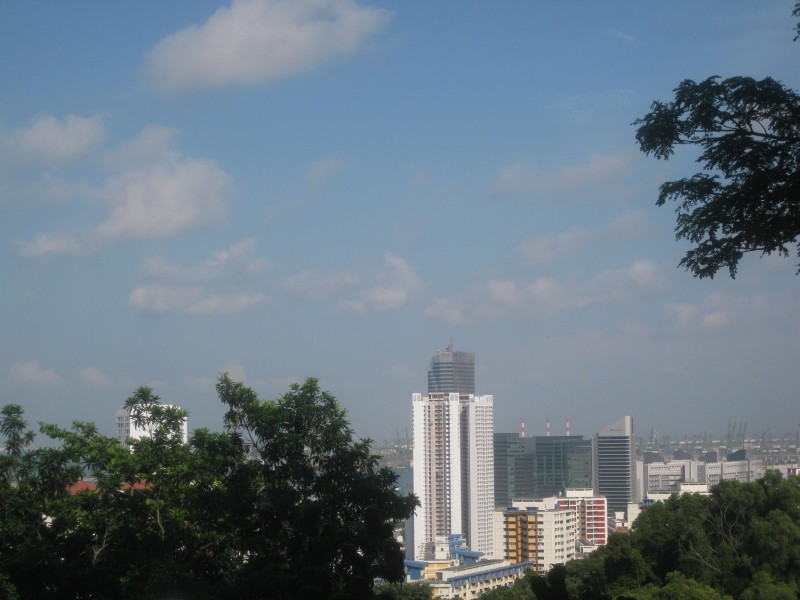 conew_img_1456.jpg