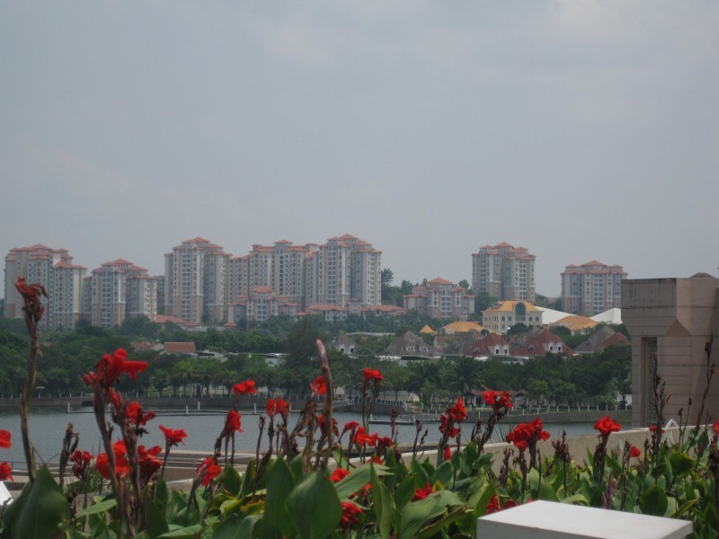 conew_conew_img_1581.jpg