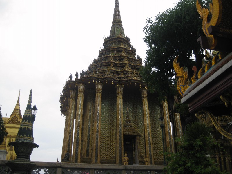 conew_img_1768.jpg