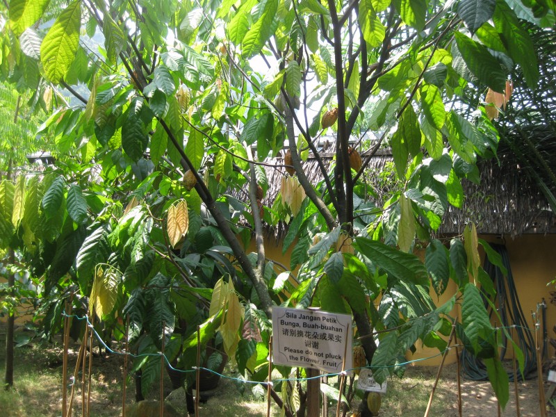 conew_img_1679.jpg