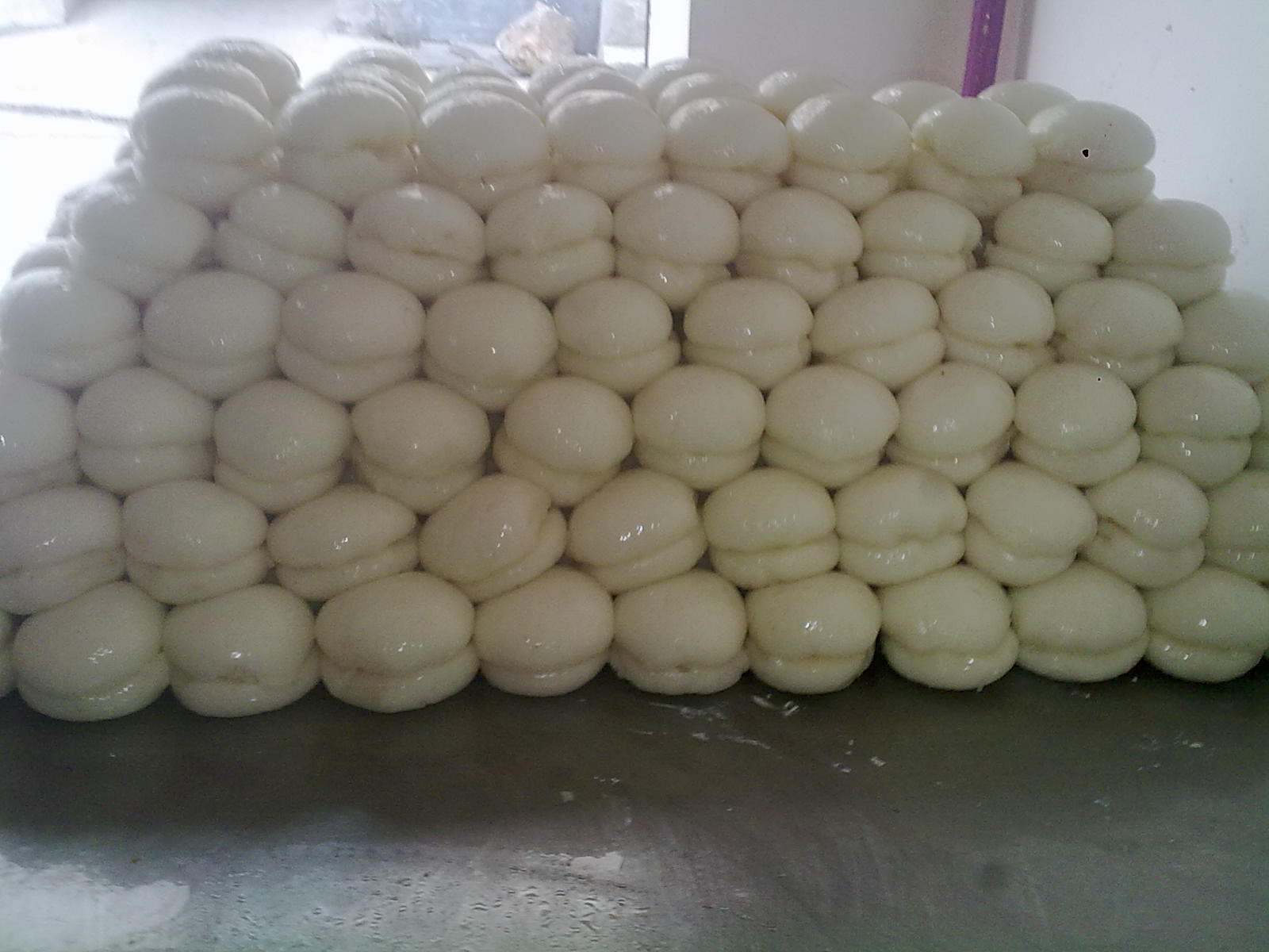20110731073.jpg